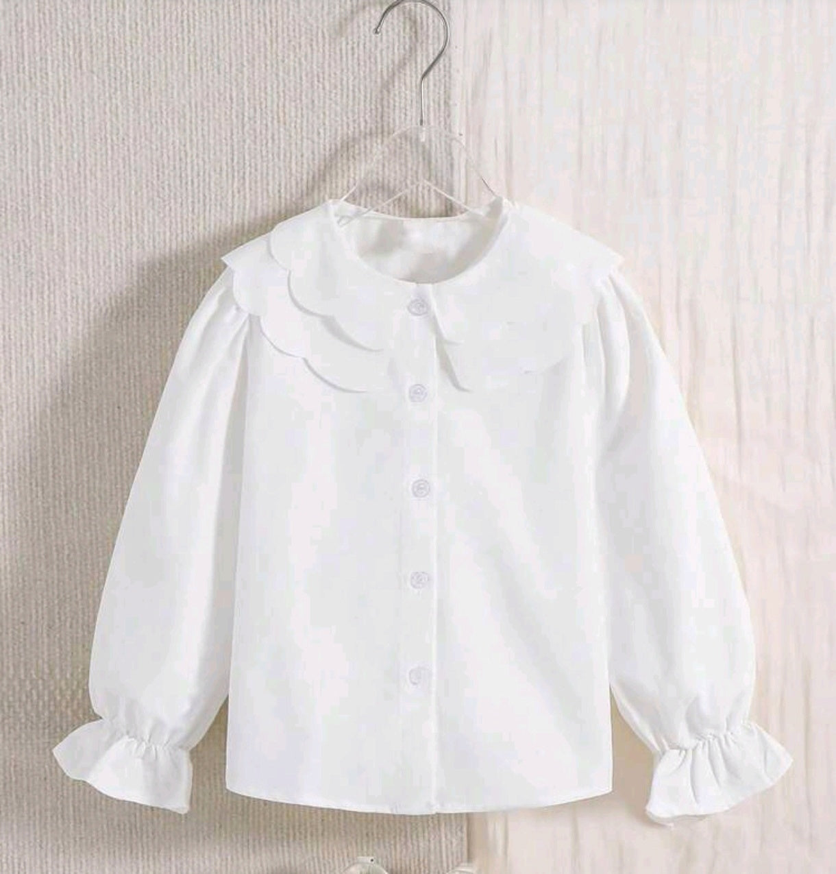 Camisa mangas largas elegantes